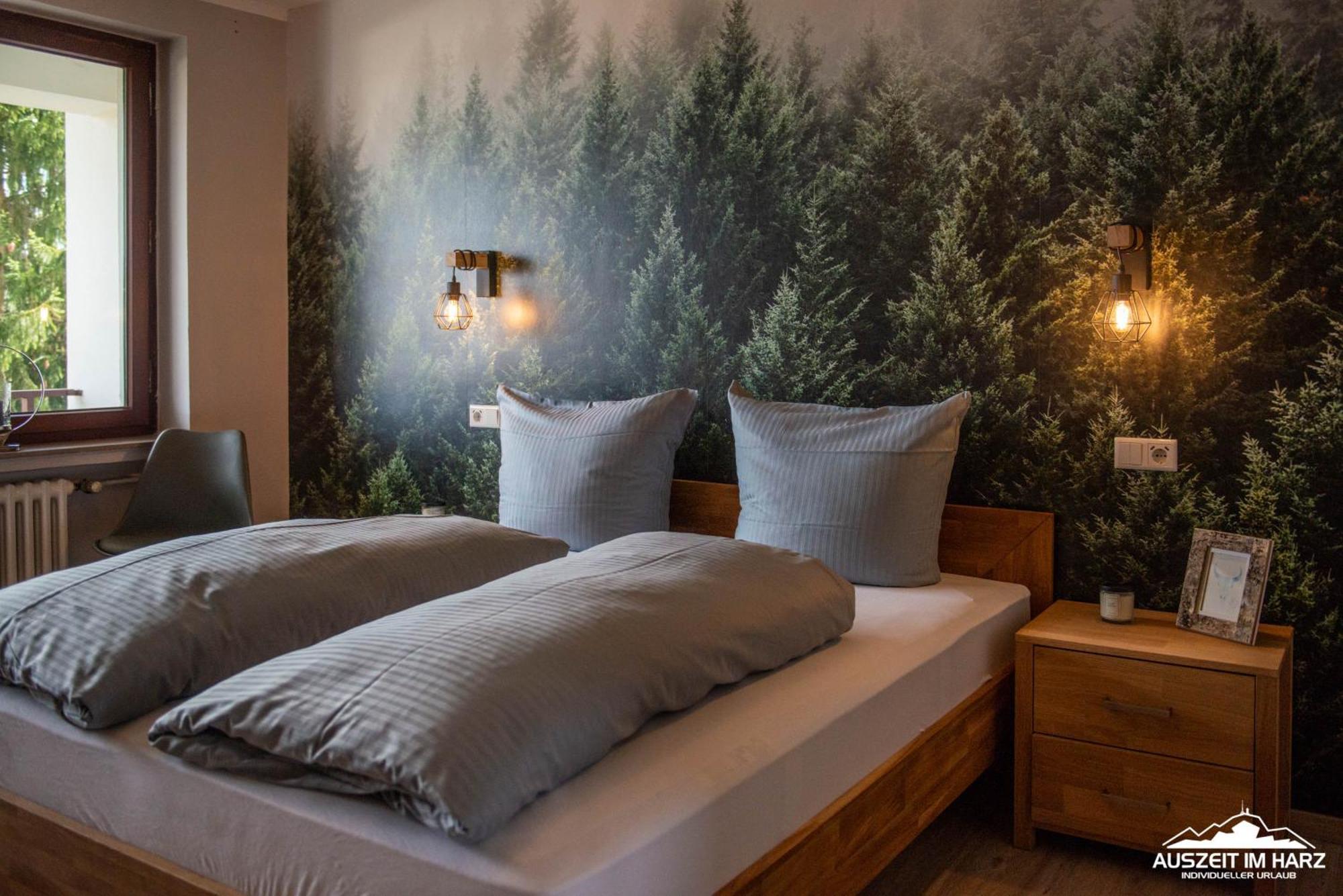 Auszeit Im Harz Haus 3 Wohnung 6 Braunlage Ngoại thất bức ảnh